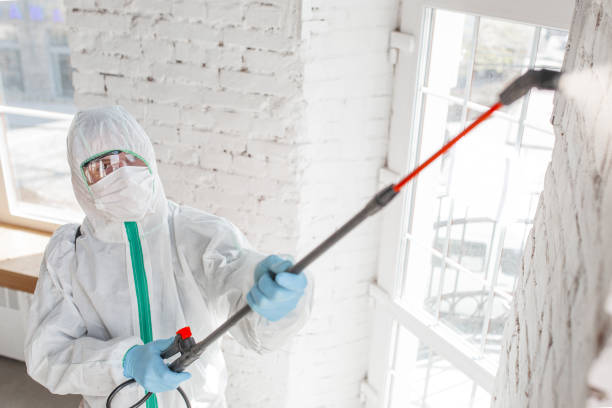Best Water Damage & Mold Remediation  in Tyrone, GA