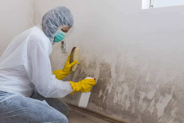 Best Biohazard Mold Removal  in Tyrone, GA
