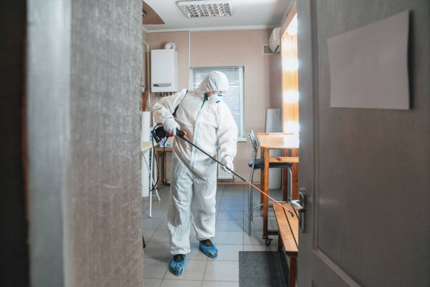 Best Airborne Mold Testing  in Tyrone, GA