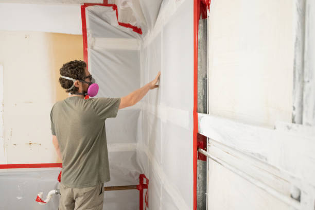 Best Mold Odor Removal Services  in Tyrone, GA