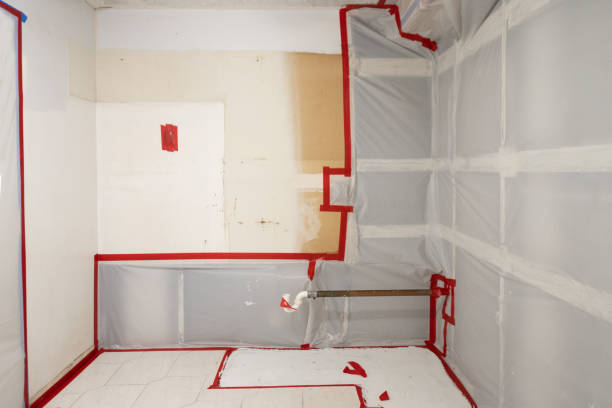 Best Residential Mold Inspection & Testing  in Tyrone, GA