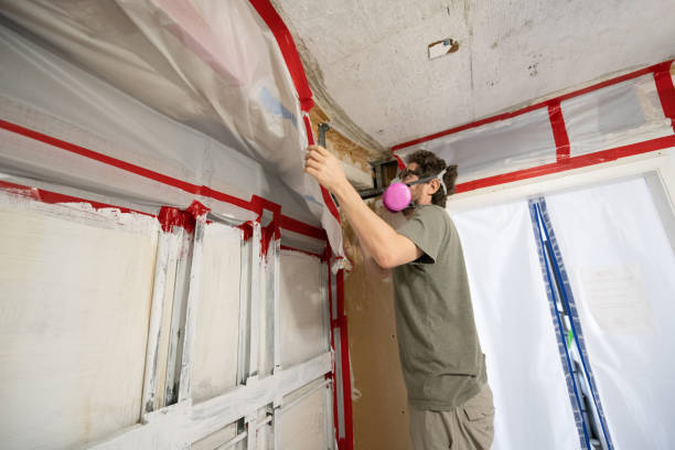 Best Post-Construction Mold Inspection  in Tyrone, GA