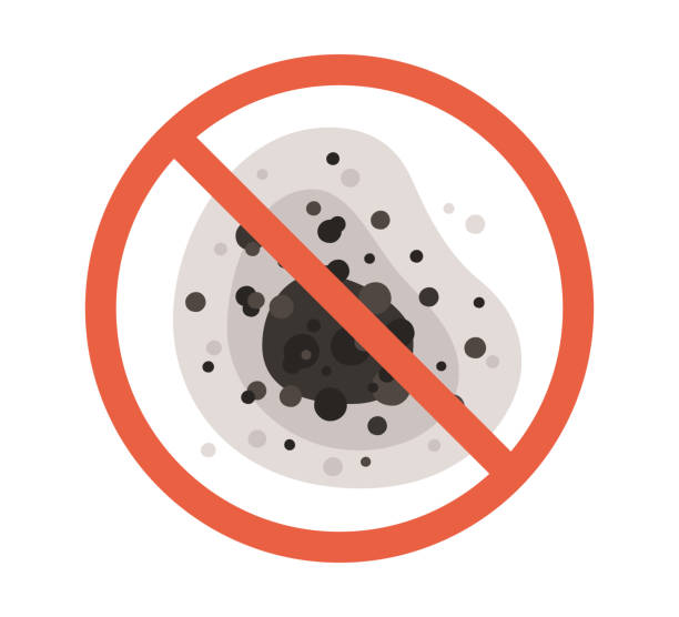Dehumidification Services in Tyrone, GA