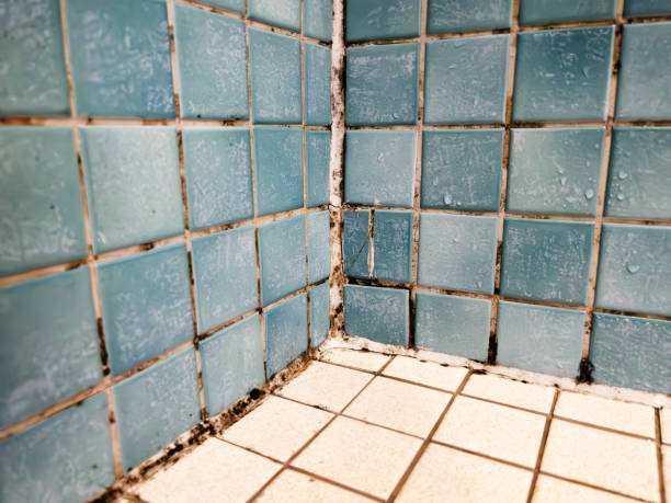 Best Air Quality Testing for Mold Spores  in Tyrone, GA